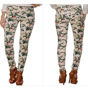 Maison scotch botanic Jean size 27